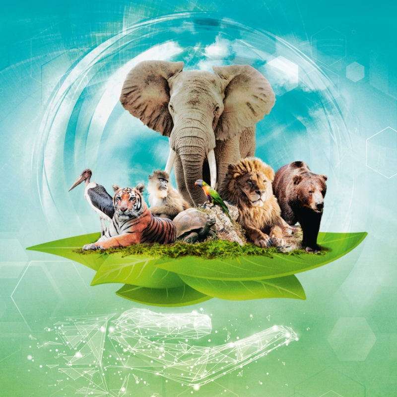 Spielbox von Arche Nova